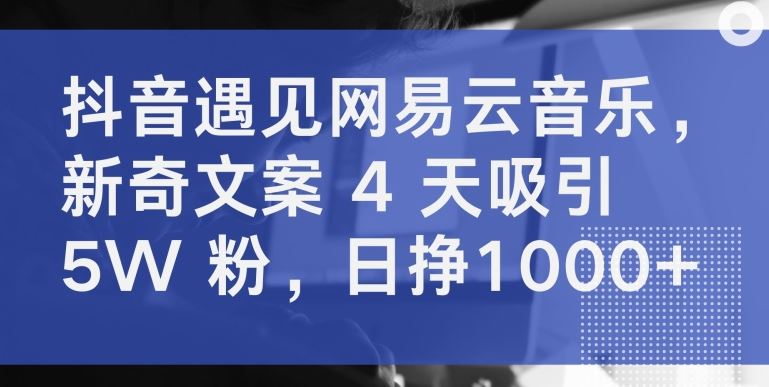 抖音遇见网易云音乐，新奇文案 4 天吸引 5W 粉，日挣1000+【揭秘】-3YVIP资源库