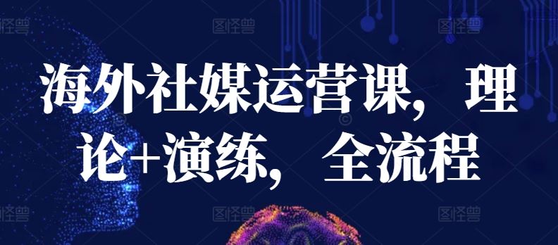 海外社媒运营课，理论+演练，全流程-3YVIP资源库