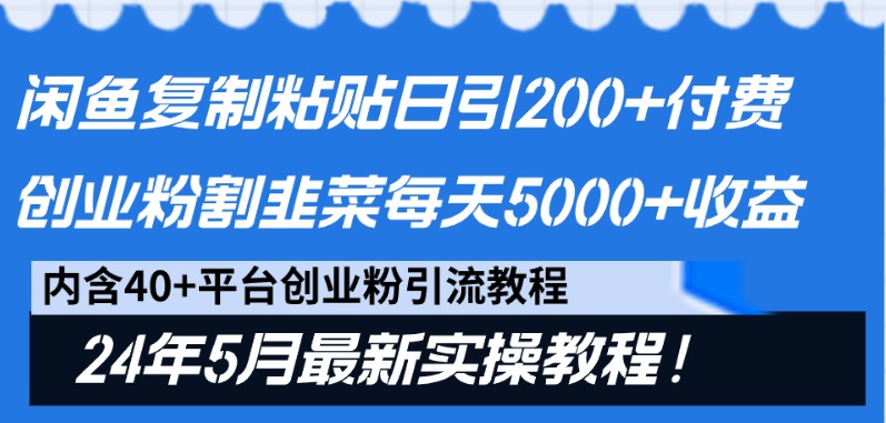 闲鱼复制粘贴日引200+付费创业粉，24年5月最新方法！割韭菜日稳定5000+收益-3YVIP资源库