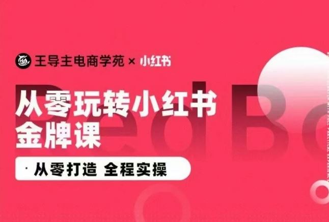 王导主·小红书电商运营实操课，​从零打造  全程实操-3YVIP资源库