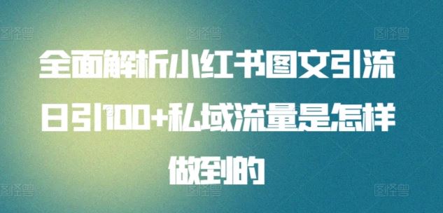 全面解析小红书图文引流日引100+私域流量是怎样做到的【揭秘】-3YVIP资源库