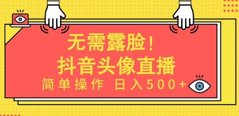 无需露脸，Ai头像直播项目，简单操作日入500+【揭秘】-3YVIP资源库