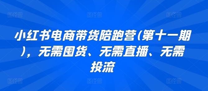 小红书电商带货陪跑营(第十一期)，无需囤货、无需直播、无需投流-3YVIP资源库