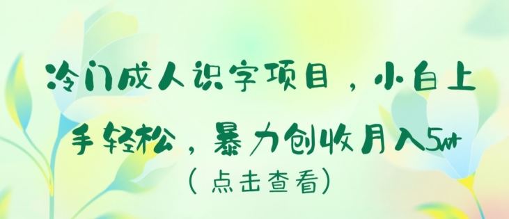 冷门成人识字项目，小白上手轻松，暴力创收月入5w+【揭秘】-3YVIP资源库