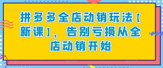 拼多多全店动销玩法【新课】，告别亏损从全店动销开始-3YVIP资源库