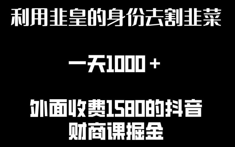 利用非皇的身份去割韭菜，一天1000+(附详细资源)【揭秘】-3YVIP资源库