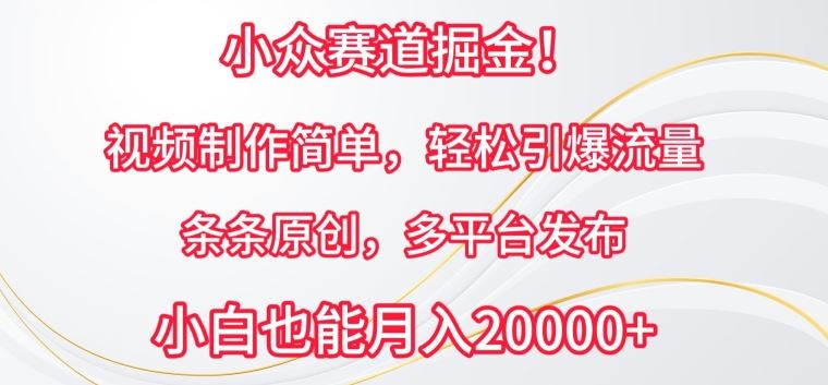 小众赛道掘金，视频制作简单，轻松引爆流量，条条原创，多平台发布【揭秘】-3YVIP资源库