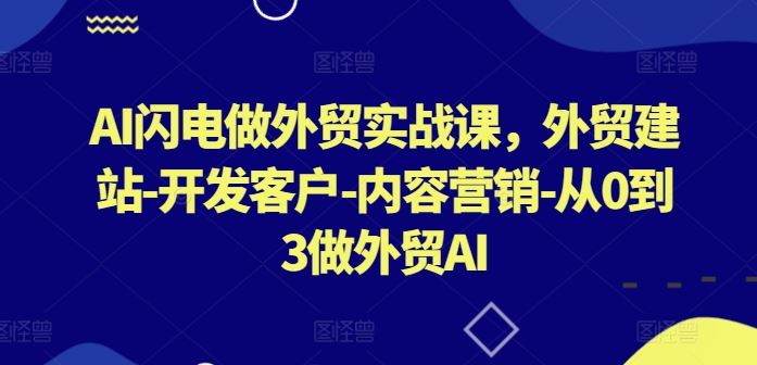 AI闪电做外贸实战课，​外贸建站-开发客户-内容营销-从0到3做外贸AI-3YVIP资源库