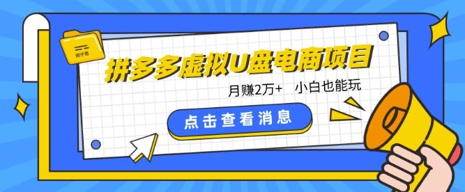 拼多多虚拟U盘电商红利项目：月赚2万+，新手小白也能玩-3YVIP资源库
