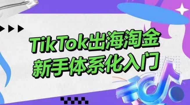 TikTok出海淘金，新手体系化入门，零基础快速入门，掌握短视频、直播带货等引流到变现的知识-3YVIP资源库