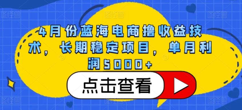 4月份蓝海电商撸收益技术，长期稳定项目，单月利润5000+【揭秘】-3YVIP资源库