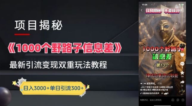 一千个野路子信息差最新玩法教程-变现+引流的玩法具体拆解【揭秘】-3YVIP资源库