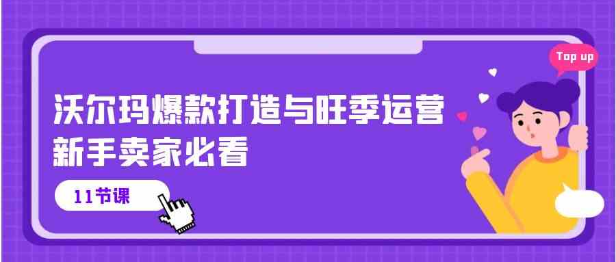 沃尔玛爆款打造与旺季运营，新手卖家必看（11节视频课）-3YVIP资源库