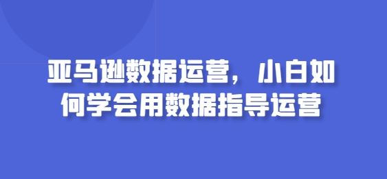 亚马逊数据运营，小白如何学会用数据指导运营-3YVIP资源库