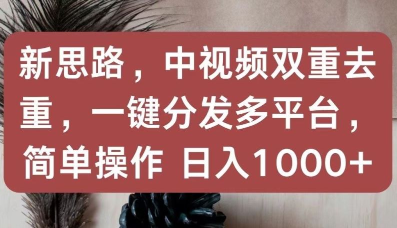 新思路，中视频双重去重，一键分发多平台，简单操作，日入1000+【揭秘】-3YVIP资源库