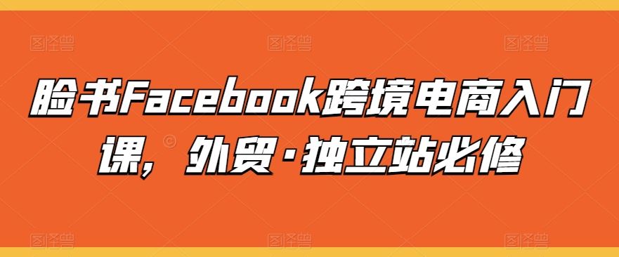 脸书Facebook跨境电商入门课，外贸·独立站必修-3YVIP资源库