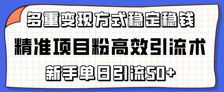 精准项目粉高效引流术，新手单日引流50+，多重变现方式稳定赚钱【揭秘】-3YVIP资源库