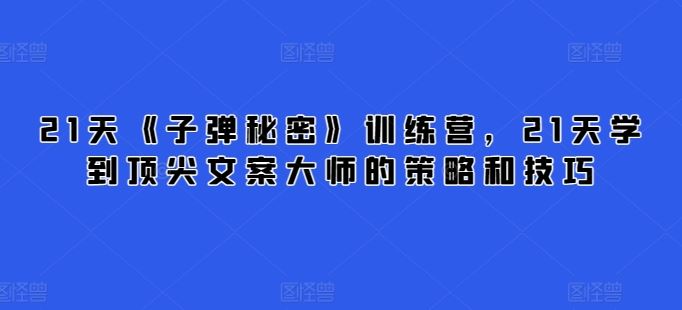 21天《子弹秘密》训练营，21天学到顶尖文案大师的策略和技巧-3YVIP资源库
