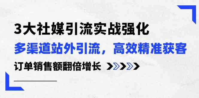 3大社媒引流实操强化，多渠道站外引流/高效精准获客/订单销售额翻倍增长-3YVIP资源库
