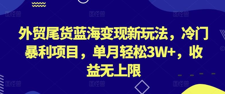 外贸尾货蓝海变现新玩法，冷门暴利项目，单月轻松3W+，收益无上限【揭秘】-3YVIP资源库