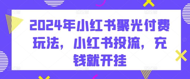 2024年小红书聚光付费玩法，小红书投流，充钱就开挂-3YVIP资源库