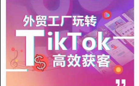 外贸工厂玩转TikTok高效获客，多种引流方式与账号定位技巧，拆解爆款短视频打造成功案例-3YVIP资源库