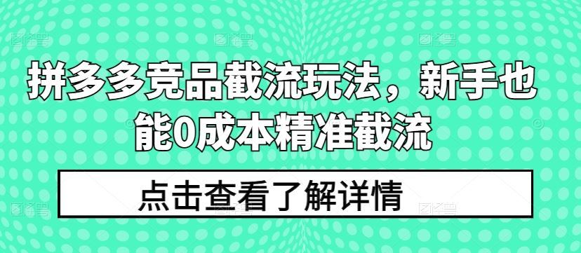 拼多多竞品截流玩法，新手也能0成本精准截流-3YVIP资源库