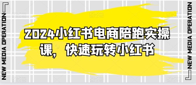 2024小红书电商陪跑实操课，快速玩转小红书，超过20节精细化课程-3YVIP资源库