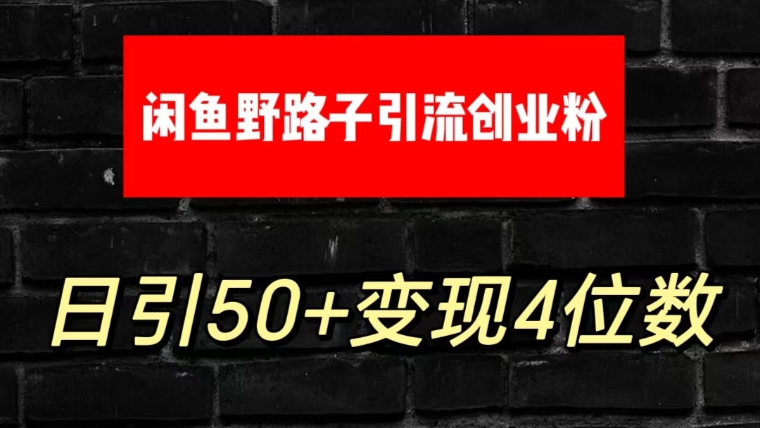 大眼闲鱼野路子引流创业粉，日引50+单日变现四位数-3YVIP资源库
