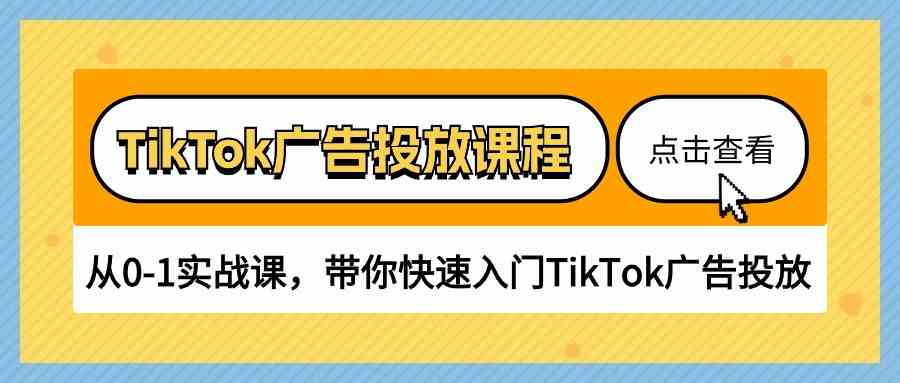 TikTok广告投放课程，从0-1实战课，带你快速入门TikTok广告投放（30节课）-3YVIP资源库