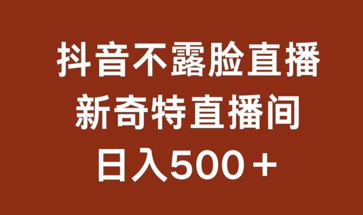 不露脸挂机直播，新奇特直播间，日入500+【揭秘】-3YVIP资源库