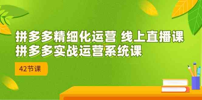 拼多多精细化运营 线上直播课：拼多多实战运营系统课（更新47节）-3YVIP资源库