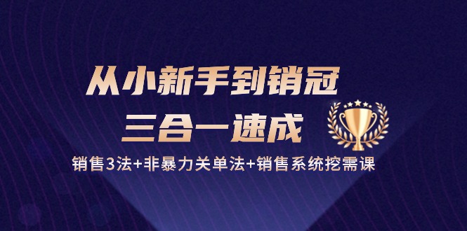从小新手到销冠三合一速成：销售3法+非暴力关单法+销售系统挖需课 (27节)-3YVIP资源库