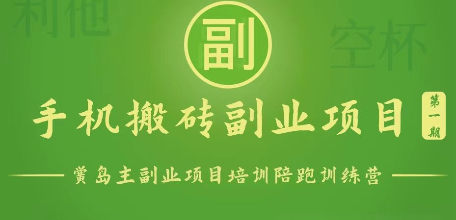 手机搬砖小副业项目训练营1.0，能用手机做的简单小副业-3YVIP资源库