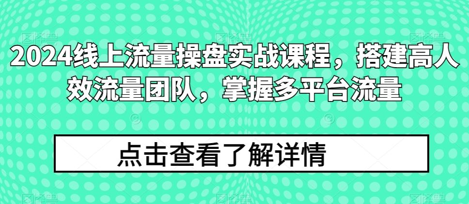2024线上流量操盘实战课程，搭建高人效流量团队，掌握多平台流量-3YVIP资源库