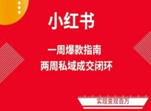 爆款小红书免费流量体系课程(两周变现)，小红书电商教程-3YVIP资源库