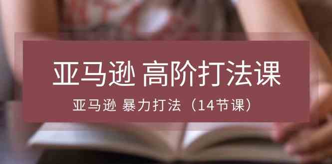 亚马逊高阶打法课，亚马逊暴力打法（14节课）-3YVIP资源库