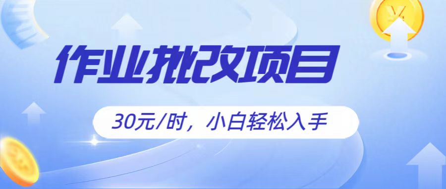 作业批改项目30元/时，简单小白轻松入手，非常适合兼职-3YVIP资源库