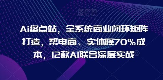 Ai终点站，全系统商业闭环矩阵打造，帮电商、实体降70%成本，12款Ai联合深度实战-3YVIP资源库