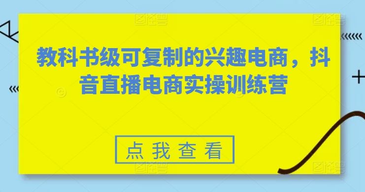 教科书级可复制的兴趣电商，抖音直播电商实操训练营-3YVIP资源库