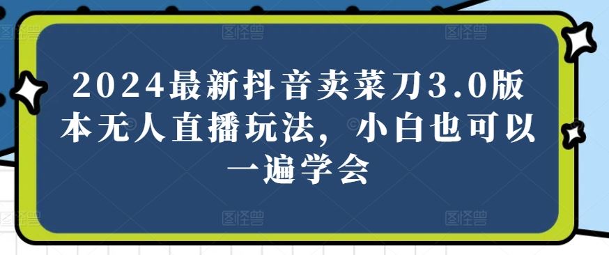 2024最新抖音卖菜刀3.0版本无人直播玩法，小白也可以一遍学会【揭秘】-3YVIP资源库