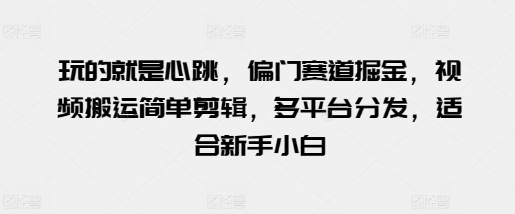 玩的就是心跳，偏门赛道掘金，视频搬运简单剪辑，多平台分发，适合新手小白【揭秘】-3YVIP资源库