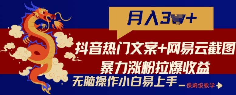 抖音热门文案+网易云截图暴力涨粉拉爆收益玩法，小白无脑操作，简单易上手【揭秘】-3YVIP资源库