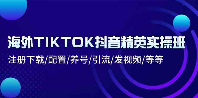 海外TIKTOK抖音精英实操班：注册下载/配置/养号/引流/发视频/等等-3YVIP资源库