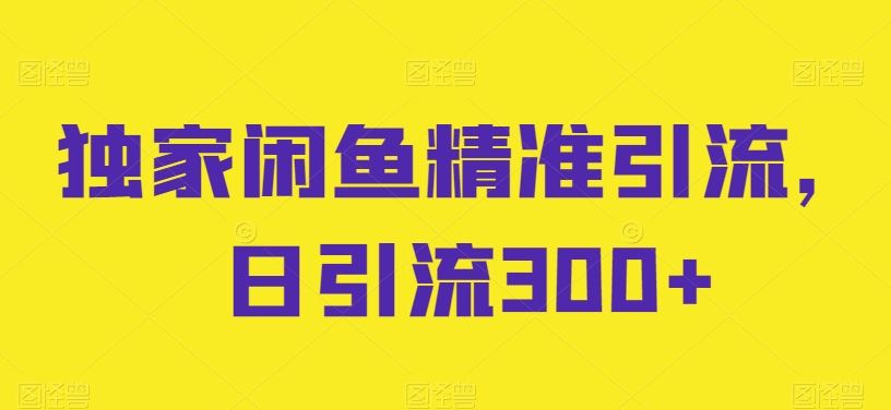 独家闲鱼精准引流，日引流300+【揭秘】-3YVIP资源库