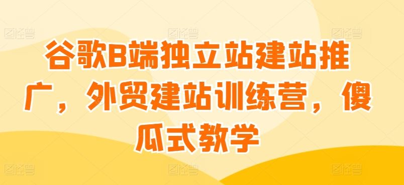 谷歌B端独立站建站推广，外贸建站训练营，傻瓜式教学-3YVIP资源库