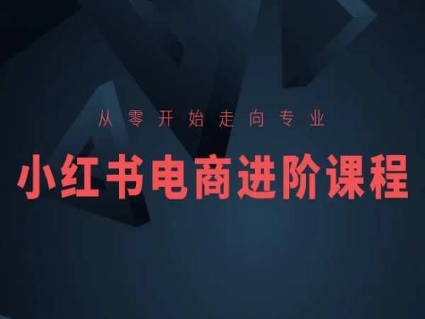 从零开始走向专业，小红书电商进阶课程-3YVIP资源库