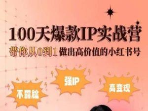 小红书100天爆款IP实战营，带你从0到1做出高价值的小红书号-3YVIP资源库