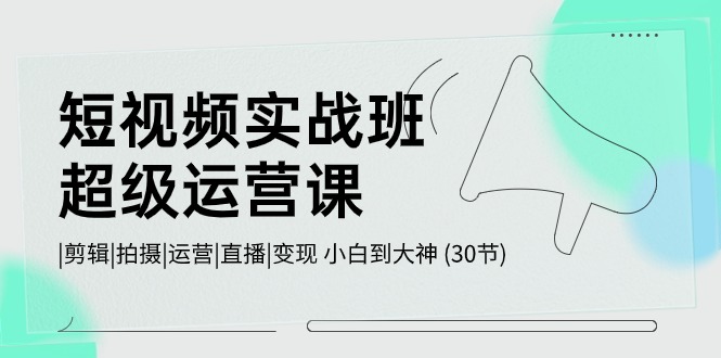 短视频实战班超级运营课 |剪辑|拍摄|运营|直播|变现 小白到大神 (30节)-3YVIP资源库