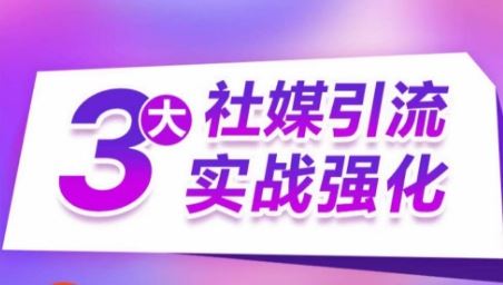 3大社媒引流实战强化，多渠道站外引流，高效精准获客，订单销售额翻倍增长-3YVIP资源库